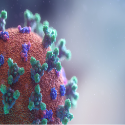 S Variant COVID-19 VIRUS AND IT’S VARIANTS LIFE-THREATENING