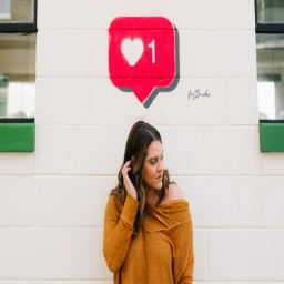 THE TRANSFORMATIVE IMPACT OF SOCIAL MEDIA INFLUENCERS IN REDEFINING ...